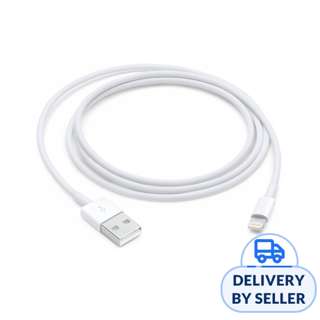 Apple Lightning to USB Cable (1m)