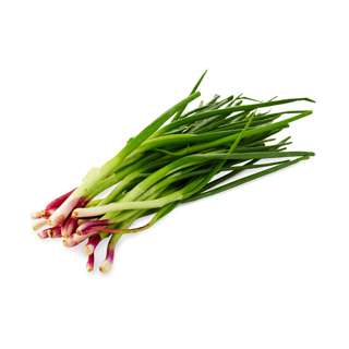 Orgo Fresh Young Spring Onion