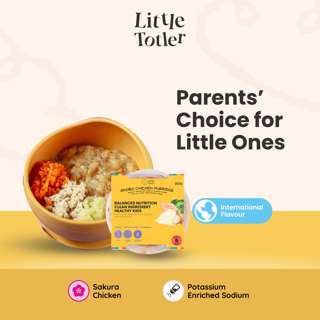 Adobo Chicken Porridge - Frozen