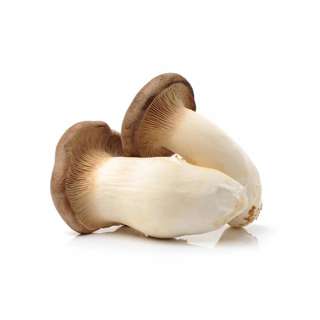 Orgo Fresh King Oyster Mushroom