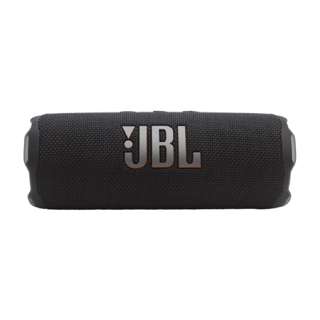 JBL Flip 7 Portable Bluetooth Speaker - Black