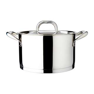 Dolphin Collection Stainless Steel Saucepot With Lid 22cm