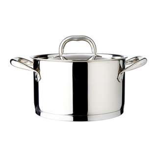 Dolphin Collection Stainless Steel Saucepot With Lid 20cm