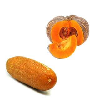 Orgo Fresh Soup Essential Set - Pumpkin(whole) & Old Cucumber