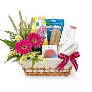 NoelGifts The Pet Collection Gift - Purr-sonal Care (AAPS6)