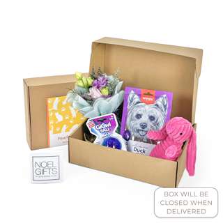 NoelGifts The Pet Collection - Bites & Belly Rubs (AAPS2B)