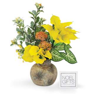 NoelGifts Everlasting Blooms - Sun Burst (AAAF3)