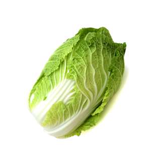 SG Fresh Organic Chinese Cabbage