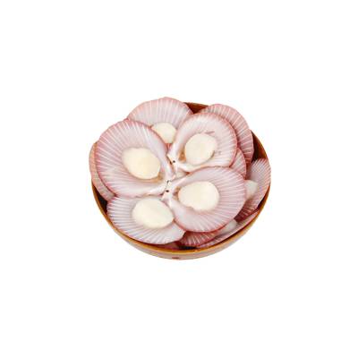 Frozen Half Shell Scallop Without Roe 5/6 | NTUC FairPrice