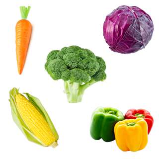 Orgo Fresh Colorfully Soup set