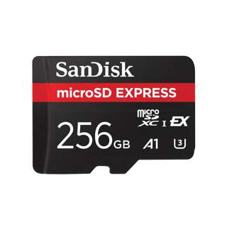SanDisk microSD Express Card - 256GB