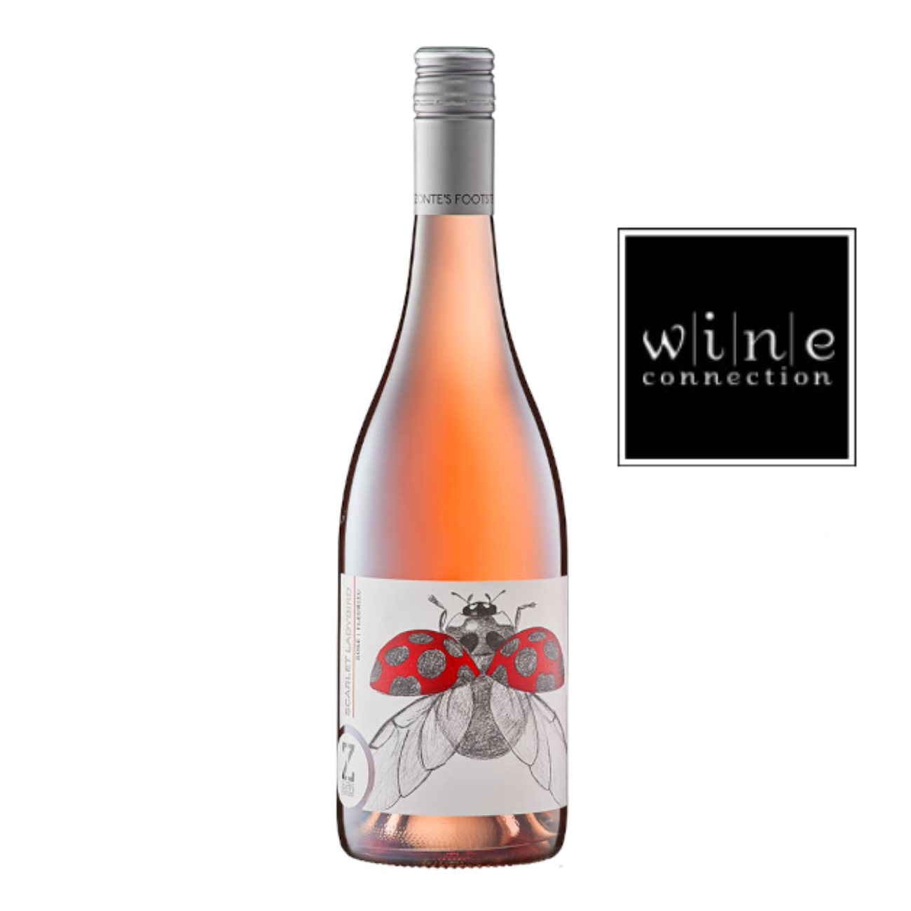 Zonte's Footstep "Scarlet Ladybird" - Rose