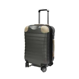 20" Cabin Antitheft Expandable Luggage - Grey