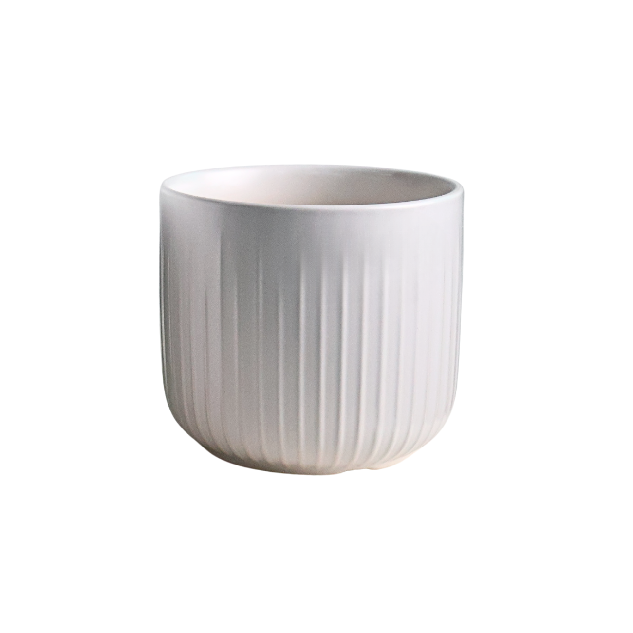 JM Flower Ivory White Ribbed Ceramic Pot - M JM Flower Ivory White Ribbed Ceramic Pot - M