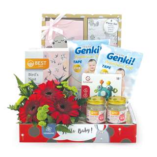 Hummings.com Newborn Hamper - Value Baby Hamper (KNB509B)