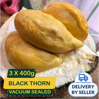 Durian Superman Black Thorn Durian - Fresh (Dehusked)