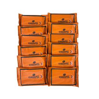 Botare Flushable Toilet Wipes Pack - Small Botare Flushable Toilet Wipes Pack - Small