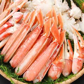 Tsukiji Kanisho Snow Crab Platter (Half Shell) - Frozen
