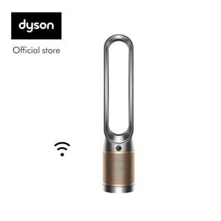 Dyson Purifier Cool Air Purifier PC2 De-NOx TP12 - Nickel