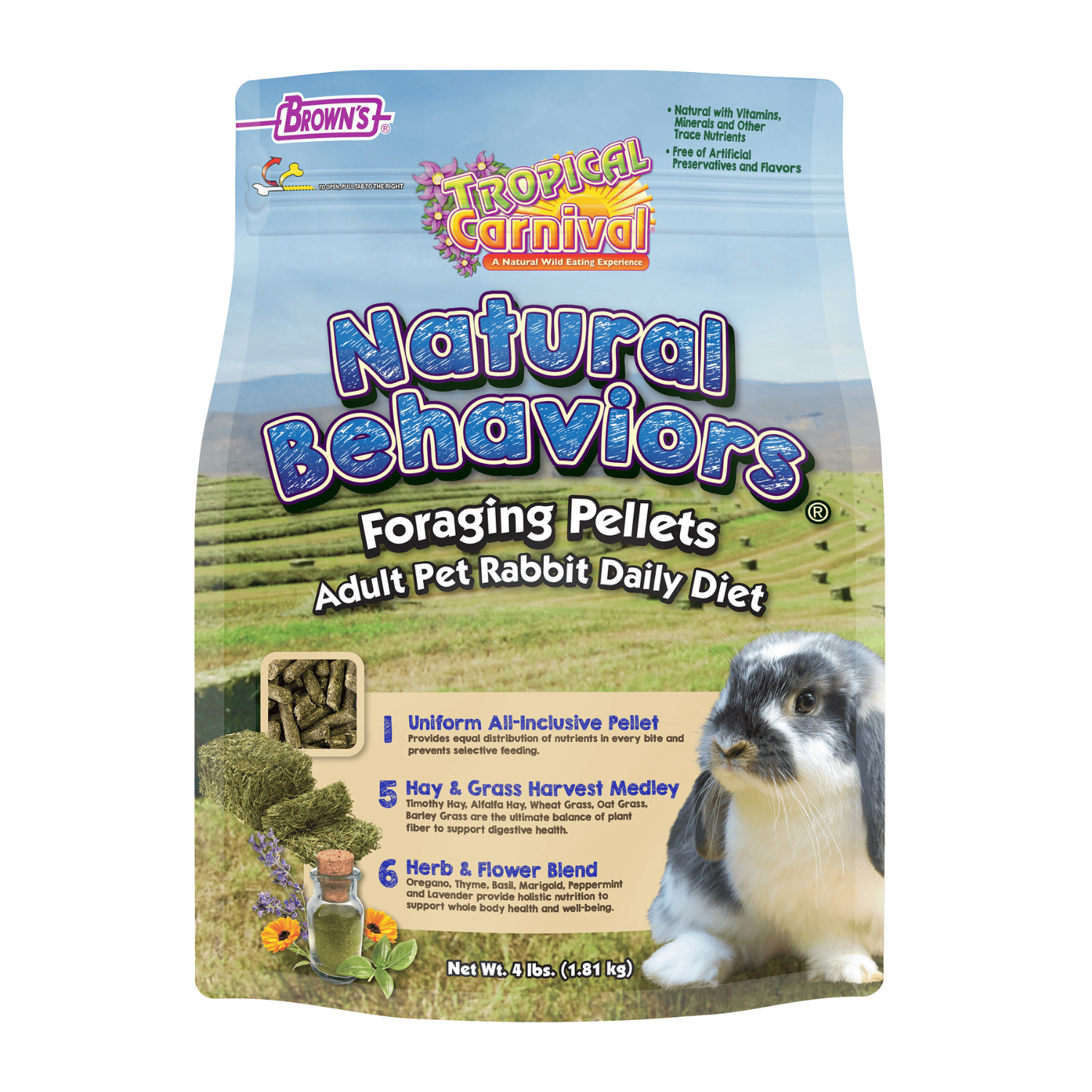 Brown Tropical Carnival Natural Behaviors Foraging Pellets
