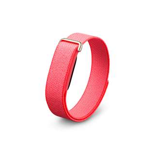Google Fitbit Air Health and Fitness Tracker - Berry