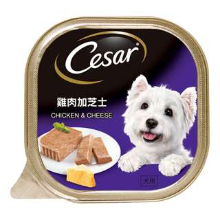 Cesar Dog Wet Food - Chicken and Cheese