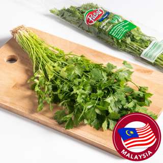 Pasar Local Celery (Daun Sup)