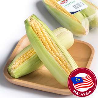 Pasar Sweet Corn