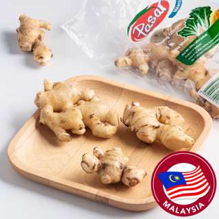 Pasar Malaysia Young Ginger