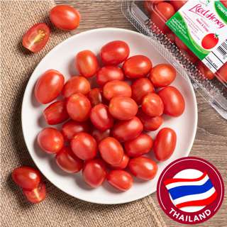 Ping Pong Tomato Queen - Red Honey (Thailand) Ping Pong Tomato Queen - Red Honey (Thailand)