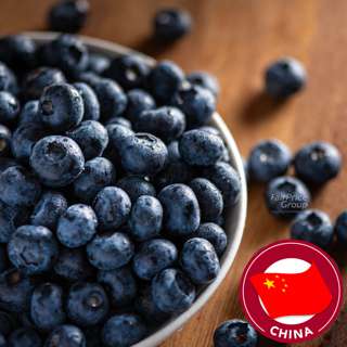 Fresh Blueberries