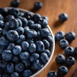 Fresh Blueberries Fresh Blueberries