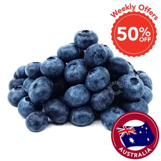 Fresh Corindi Australia Super Jumbo Blueberries Fresh Corindi Australia Super Jumbo Blueberries