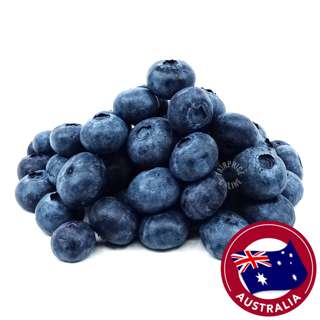 Fresh Corindi Australia Super Jumbo Blueberries
