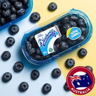 Fresh Corindi Australia Super Jumbo Blueberries Fresh Corindi Australia Super Jumbo Blueberries