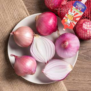 Chef Red Onion - Large