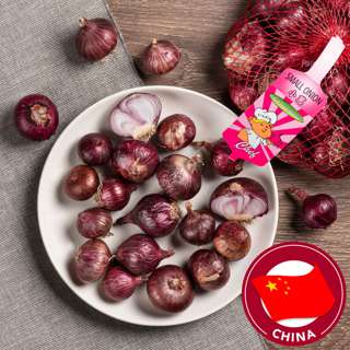 Chef Red Onion - Small