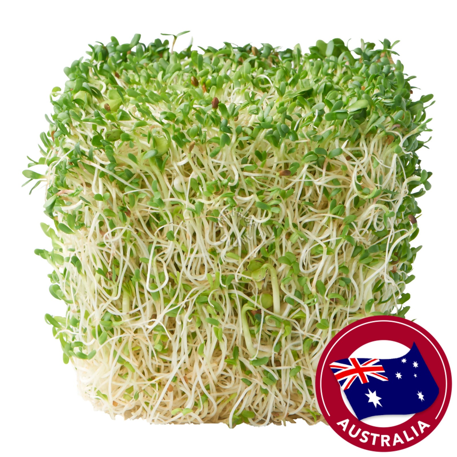 Sydney Bean Alfalfa & Radish Sprouts | NTUC FairPrice