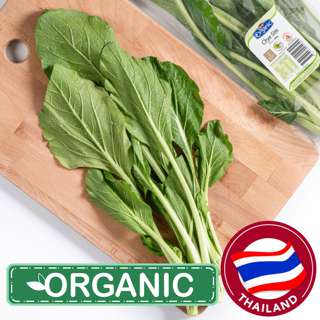 Pasar Organic Chye Sim