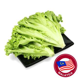 Crunchy Fresh Lollo Bionda Lettuce