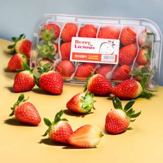 Korea Premium Strawberry