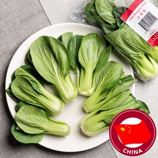 China Shanghai Green Baby China Shanghai Green Baby