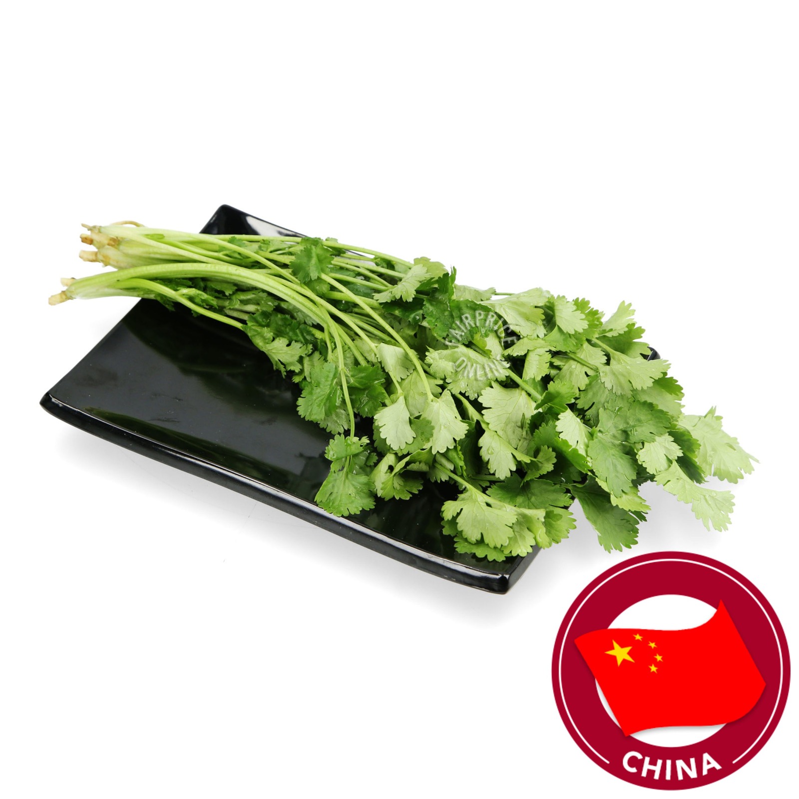 China Coriander (Cilantro)