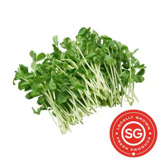 P&L Fresh Vegetable - Pea Sprouts