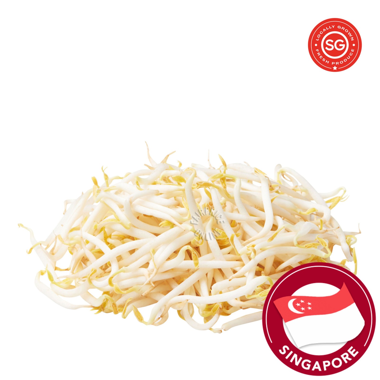 Sakura Bean Sprouts NTUC FairPrice
