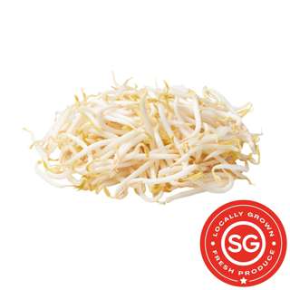 Sakura Bean Sprouts