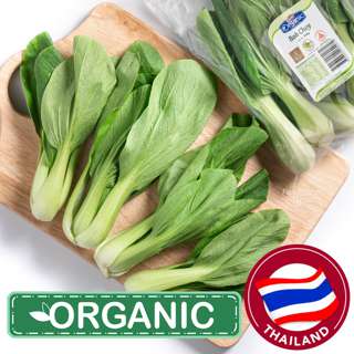 Pasar Organic Bok Choy Pasar Organic Bok Choy