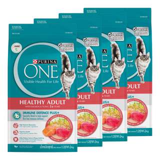 Purina One Dry Cat Food - Salmon and Tuna