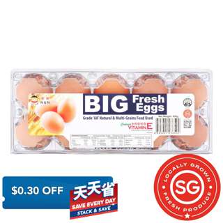 N&N Big Fresh Eggs