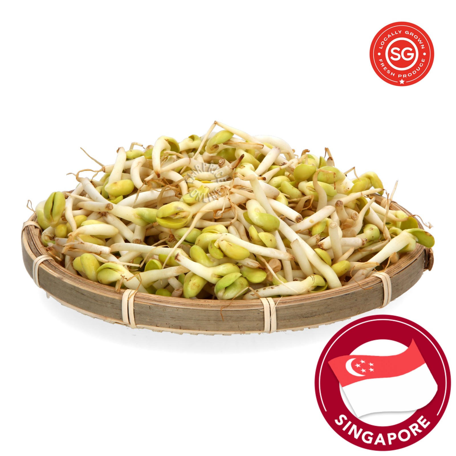 Sakura Soybean Sprouts NTUC FairPrice